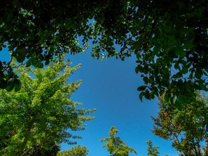 自分を変えて後悔した私は、自分を取り戻した矢先に倉庫へ飛ばされた