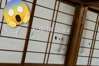 息子さんにビリビリに破られてしまった障子／栗田知佳さん（@kuritadrawing）提供