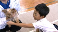 犬と仲良くなるコツは「思いやり」　小学生が動物と触れ合い、命の大切さ考える　高松市