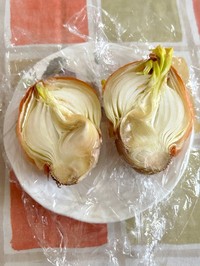 断面は…（和結さん提供）