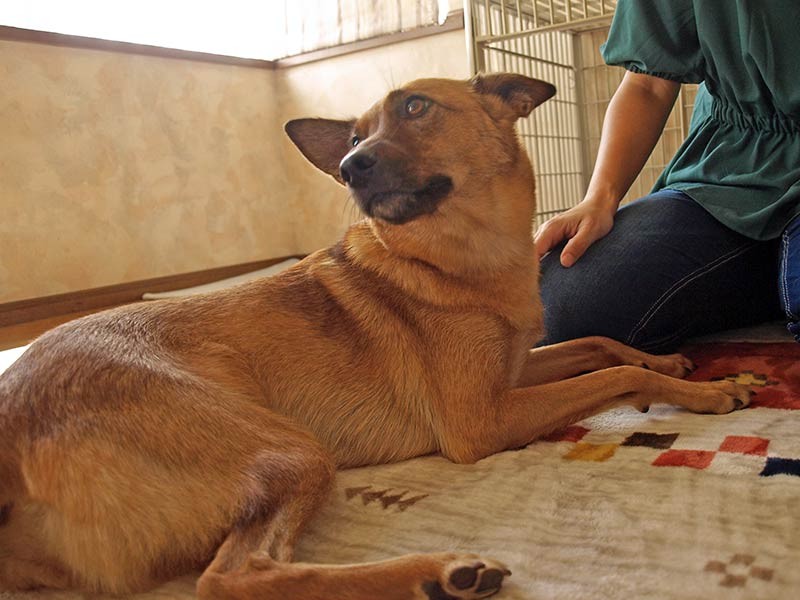 お母さんのそばにいると安心