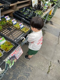「触らないで見ようね」と言われた２歳さん（提供：ハトドケイさん）