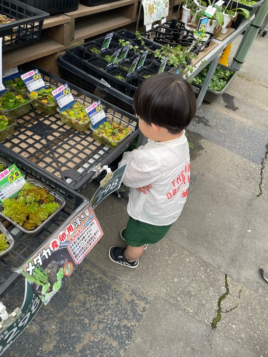 「触らないで見ようね」と言われた２歳さん（提供：ハトドケイさん）