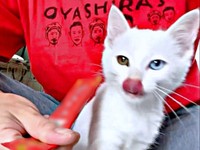 初めての液状おやつを食べながら、おしゃべりが止まらなくなったおもちくん（画像提供：瞳さん）