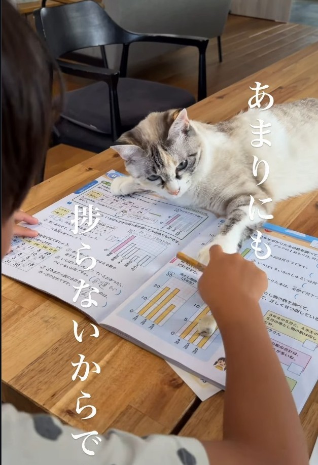 夏休みの宿題が捗りませんでした…（「soranohi」さん提供、Instagramよりキャプチャ撮影）