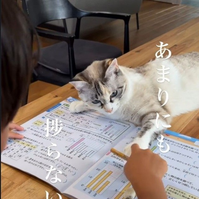 夏休みの宿題が捗りませんでした…（「soranohi」さん提供、Instagramよりキャプチャ撮影）