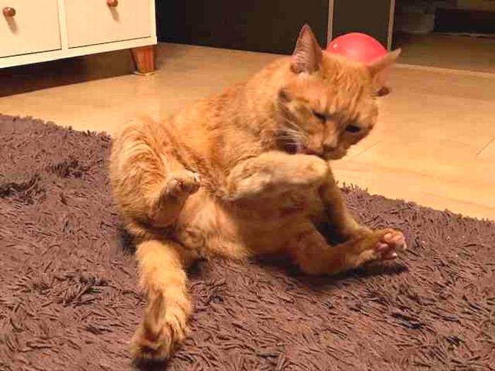 次第にマイペースぶりを発揮