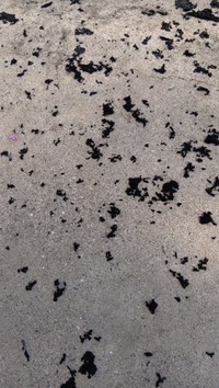 Tシャツだったなにか…（吉野さん提供）