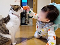 「おもちゃ、どうぞ」 仲良く触れ合うローズちゃんと息子さん（画像提供：だいちゃんさん）