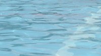 「水球」「飛び込み」「AS」　３競技合同のエキシビション開催　香川