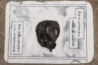 ネコちゃんが使うと…こんな風になります！