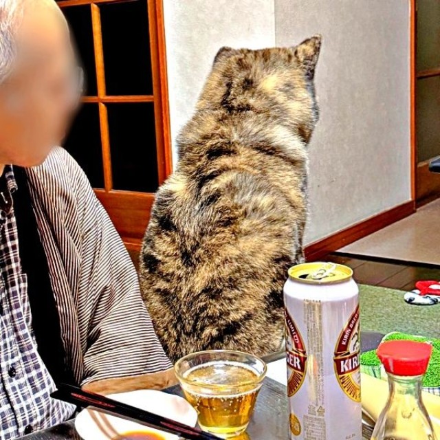 「ふん！」いじけて背を向けるさん歩くん（画像提供：ぽっぽっぽー SANPOさん）