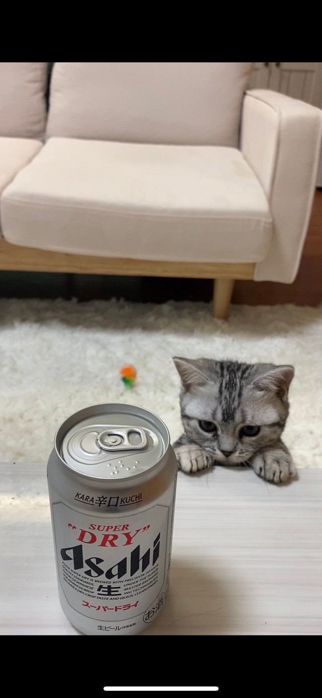 なあに？これ＝ネコピさん（@nekopi_baobao）提供
