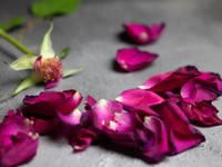 「名前のない関係」は「彼女ができた」であっさり終わった