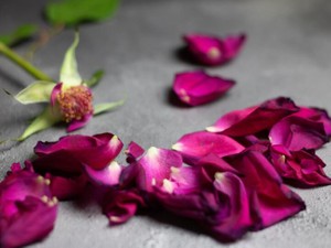 「名前のない関係」は「彼女ができた」であっさり終わった