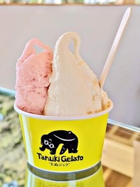 「たぬき社」で提供する“たぬジェラ”（画像提供：パフまりこ たぬき社:稲作本店さん）