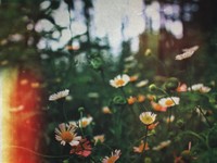 女子高で「女の子」から「ひとりの人間」に変わった、わたしの決意