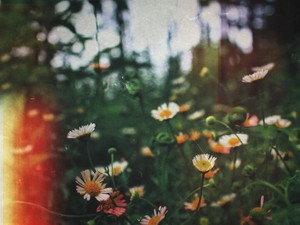 女子高で「女の子」から「ひとりの人間」に変わった、わたしの決意