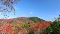 岡山県立森林公園　南展望台からの景色
提供：岡山県