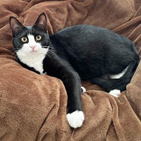 すくすくと成長しためいちゃん（画像提供：奈神さん）