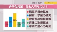 少子化対策　最も大切なのは？【みんなに聞いてみた】