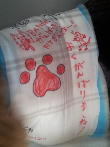 寄せ書きになった包帯（三橋さん提供）