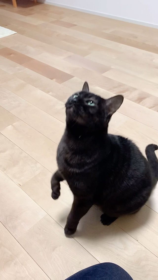 行くぞ〜！＝mosscat25さん提供