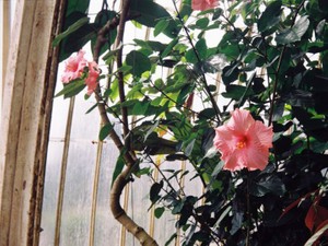 ありのままの自分を少しずつゆっくり愛していこう