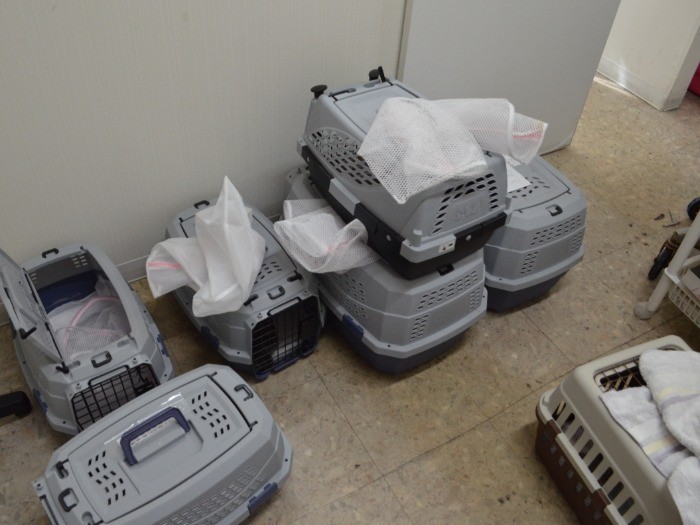 病院内には、キャリーケースが並ぶ