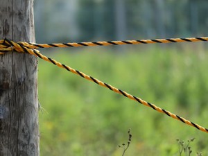 相続した「雑種地」の評価方法とは　住宅が建てられるのかも知りたい