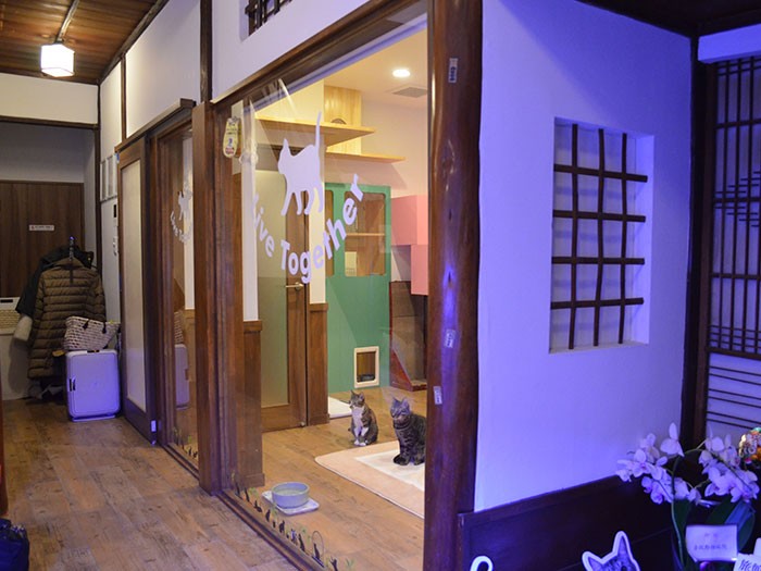 ガラス越しにお見送り