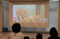 毛ガニのリアルタイム映像。カニ風味のかまぼこを食べている