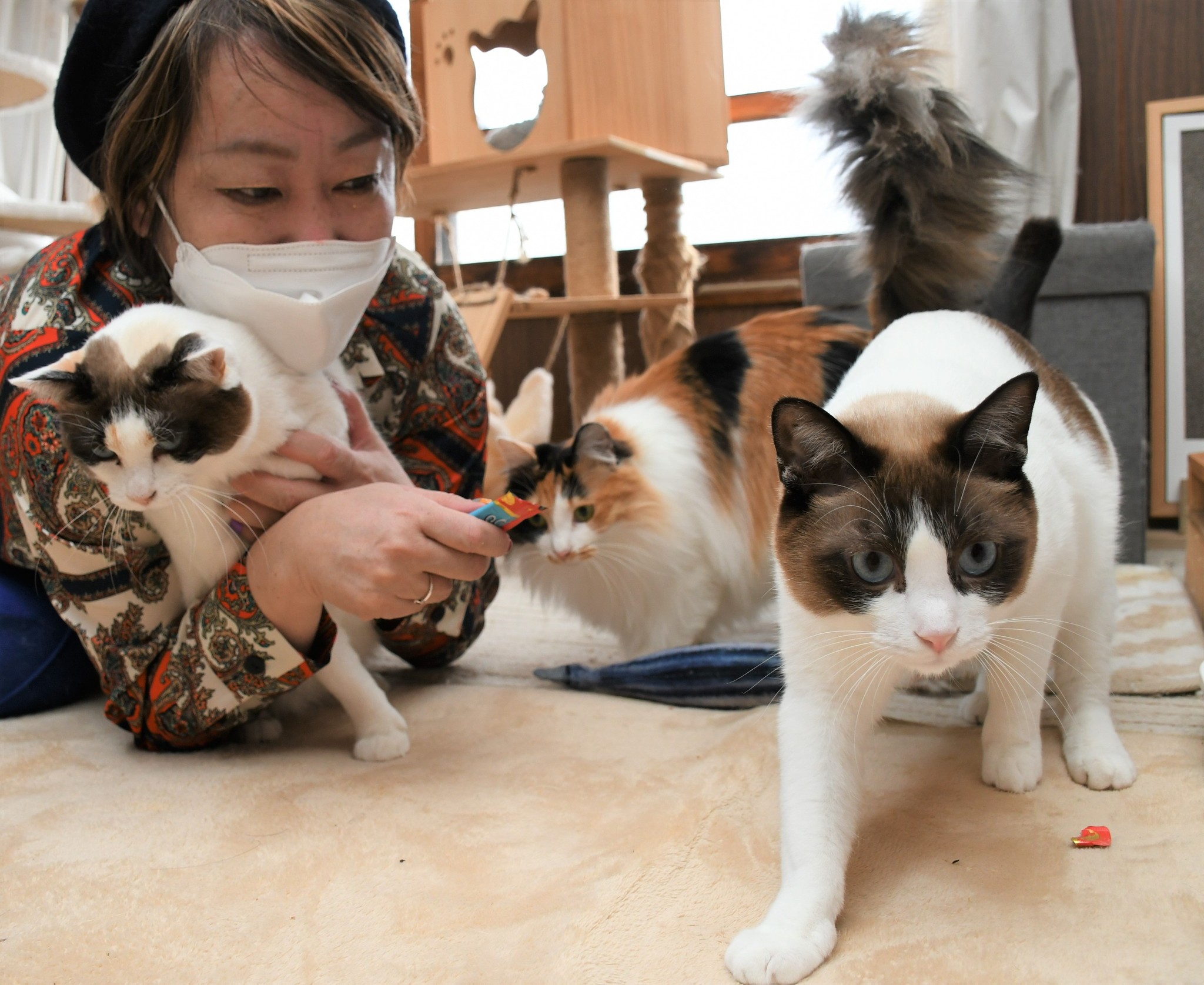 36edfe73b8a94b840debdf41b1e4d5