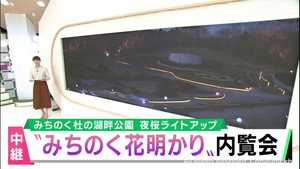 宮城県の桜の名所　川崎町みちのく杜の湖畔公園　夜桜ライトアップ