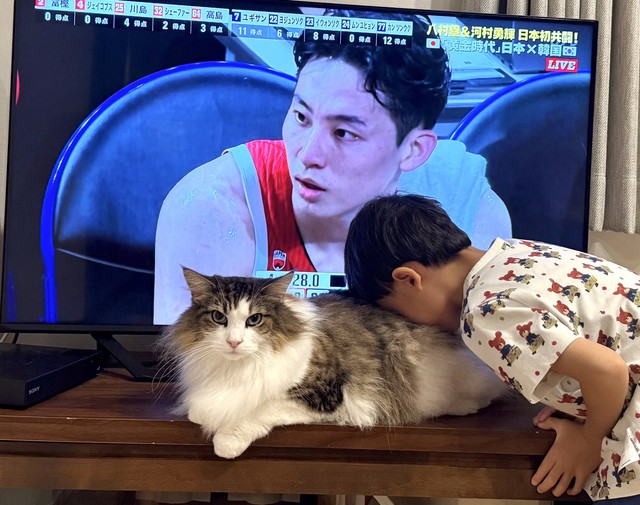 弟さんに猫吸いされるシィクくん。ちょっと怒ってる？（「シィク / 猫アカ」さん提供）
