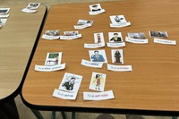 チェコ語の授業では、ペアになった学生同士で相談しながら、提示されたイラストを見て、それぞれに対応する単語を考える＝小林杏樹撮影