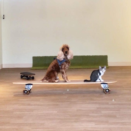 ちょうど良い距離感のふたり