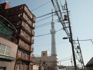 「東京で幸せ？」。田んぼの風を思い出させる夏が、私に問いかける