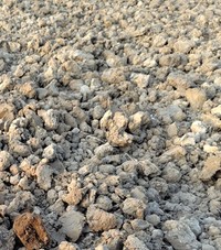 違法転用され、荒れ果てた農地（明るい無職さん提供）※画像はトリミングしています