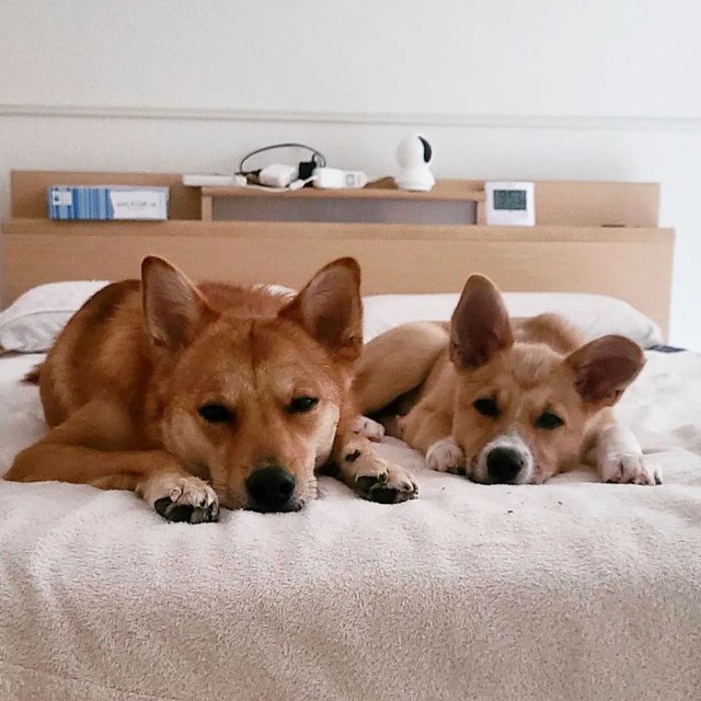 いつも仲良し＝suzuandsakuさん提供