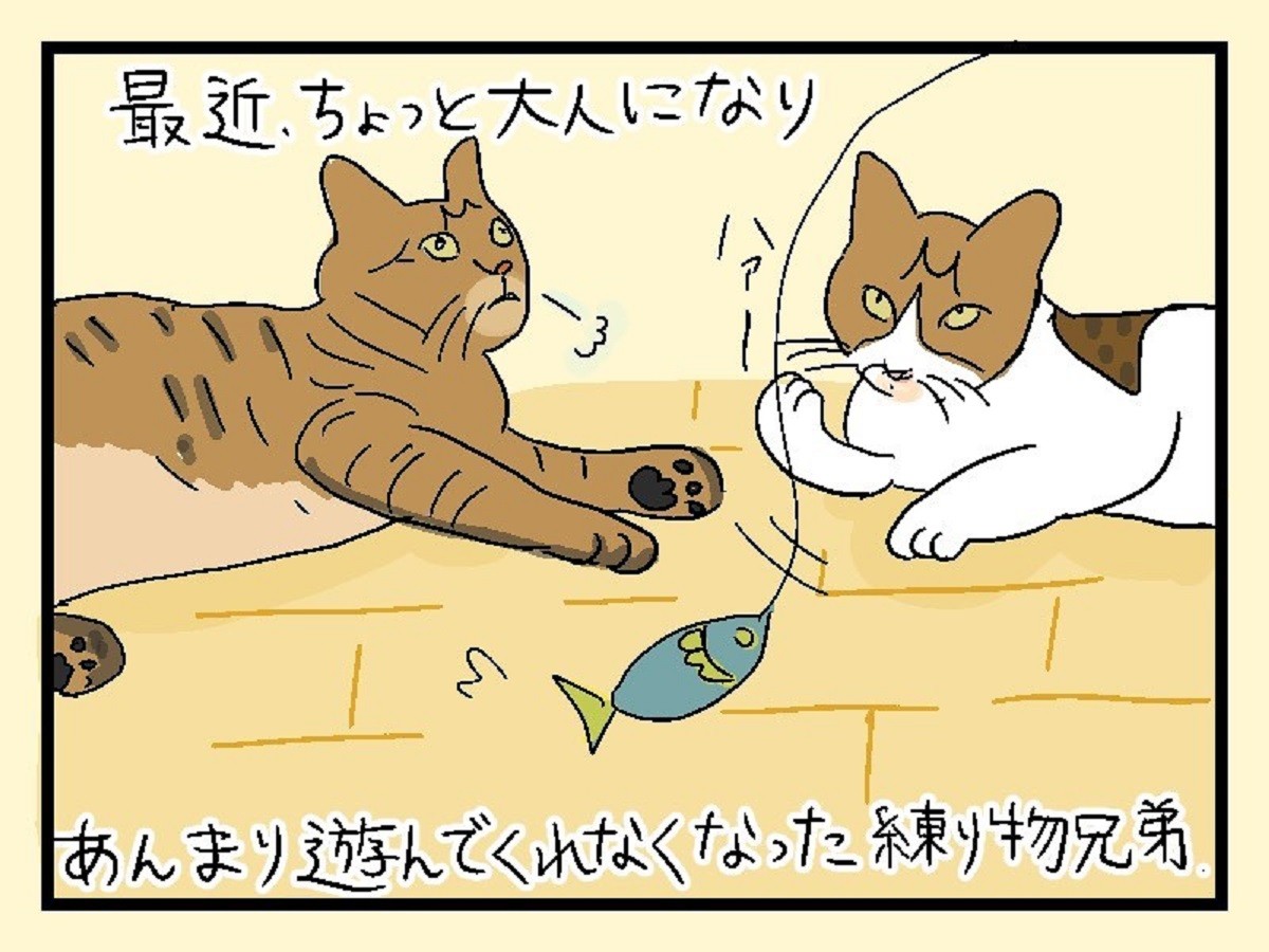 8936f7df8318b2dc53a71dbadf16d3