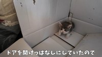 後ずさりしながら警戒している様子です（提供：おかゆ生活さん）