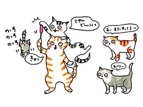 魔法をかけたかのようにぴたりとケンカを納める　仲裁猫の「イリヤ」