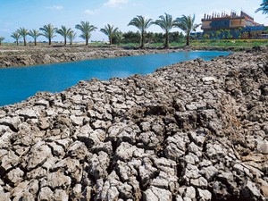 「ナイルの賜物」今は昔　塩害に苦しむエジプト文明の地