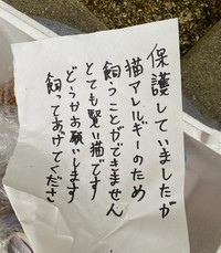 小学校に子猫を遺棄…置き手紙があったという（須藤さん提供、Instagramよりキャプチャ撮影）
