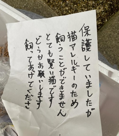 小学校に子猫を遺棄…置き手紙があったという（須藤さん提供、Instagramよりキャプチャ撮影）