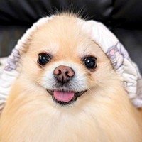 ひょっこり顔を出してニコッ！ 笑顔がキュートなこの太くん（画像提供：この太さん）