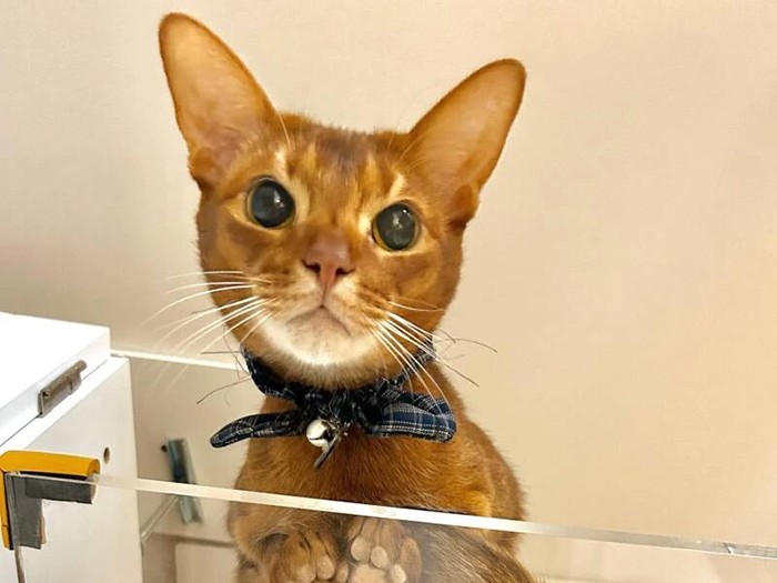 仁海（ひとみ）
