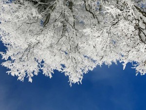 寮と病院を往復する毎日。華やかじゃなくても私にはやるべき仕事がある