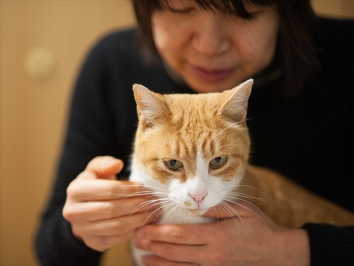 「おばちゃん、僕は抱っこは嫌いだからね」（小林写函撮影）